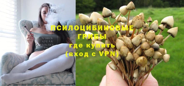 прущая мука Дмитровск