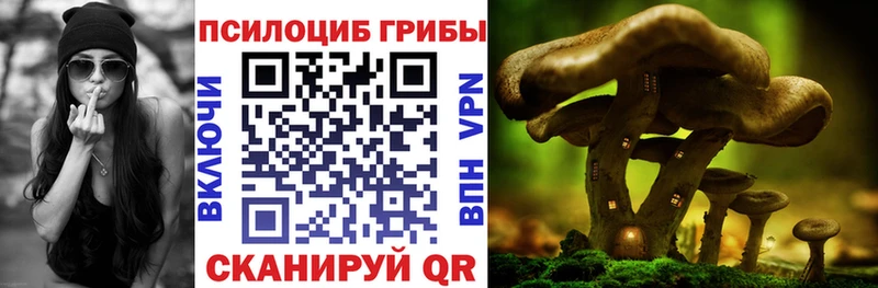 Псилоцибиновые грибы прущие грибы  наркотики  darknet официальный сайт  Темрюк 